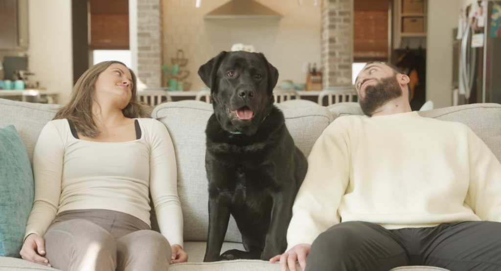 Doggie Dailies – Messaging Strategy